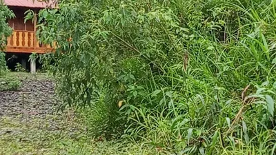 Se Vende Terreno Comercial Puyo Pastaza, Pastaza — imagen 4