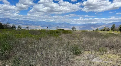 Terreno de 20645 m² en Venta en Malchinguí — imagen 2