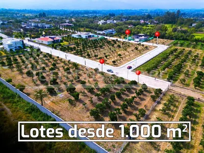 Terrenos de Venta en Tumbaco 1.000 m², Urb. La Lombardia — imagen 5