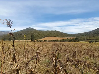 Lotes de 10 Hectáreas en Venta en Calacalí — imagen 3