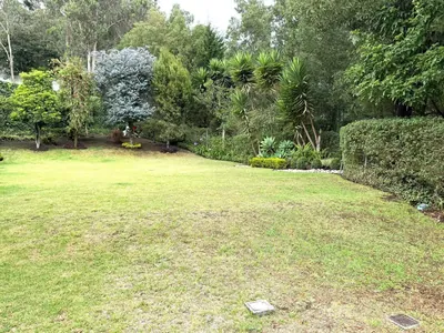 Casa Hermosa 5 Dorm. en Venta, Jardín Precioso — imagen 3