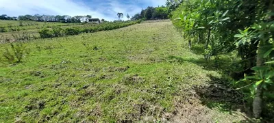 Terreno en Venta de 2,198.54 m² El Condado — imagen 4
