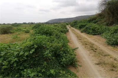 Terreno Agrícola Urbano de Venta Charapoto Manabí, Manabí — imagen 2