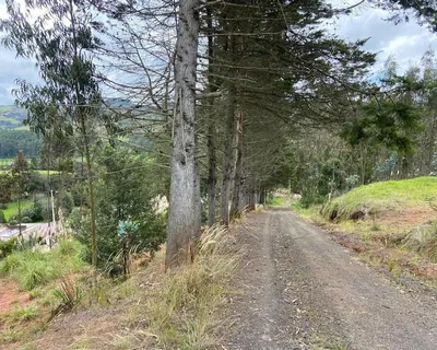 Terreno en Venta, Sector Tarqui, Azuay — imagen 4