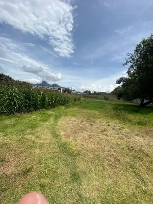 Venta Terreno La Pampa — imagen 3