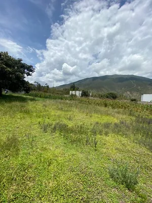 Venta Terreno La Pampa — imagen 2