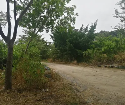 Macrolote en Venta - El Terreno Que Solo un Visionario Sabrá Aprovechar!, Guayas — imagen 3