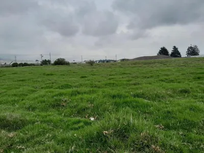 Terreno Industrial en Venta en La Zona Industrial de Turubamba. 3 Has. Provincia de Pichincha — imagen 4