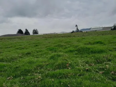 Terreno Industrial en Venta en La Zona Industrial de Turubamba. 3 Has. Provincia de Pichincha — imagen 2