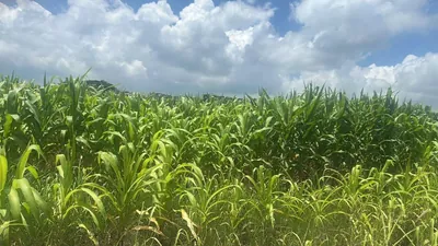 Terreno de Venta en Tonsupa — imagen 5
