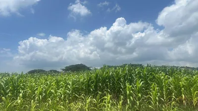 Terreno de Venta en Tonsupa — imagen 4