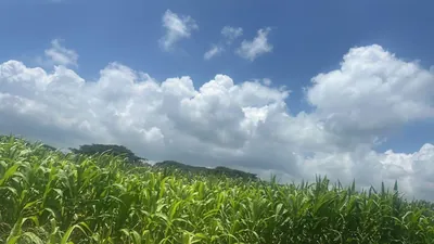 Terreno de Venta en Tonsupa — imagen 2
