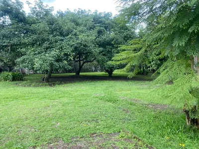 Terreno de Venta en Puembo Sector La Palma — imagen 4