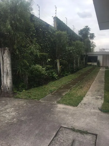 Bellavista Venta Casa Ideal Para Constructores (702 M²) (Cr) — imagen 2
