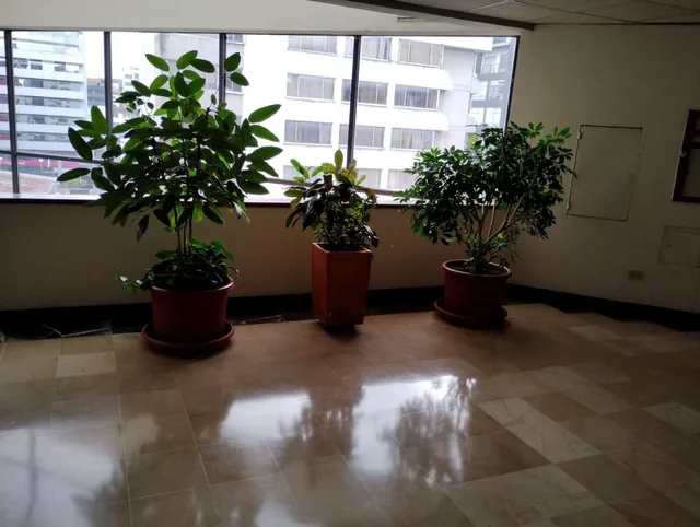 Oficina de Venta en La Mariscal. Edif Corporativo. 80 m² — imagen 3