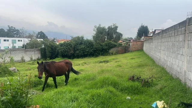 Terreno en Venta, Sangolquí — imagen 5