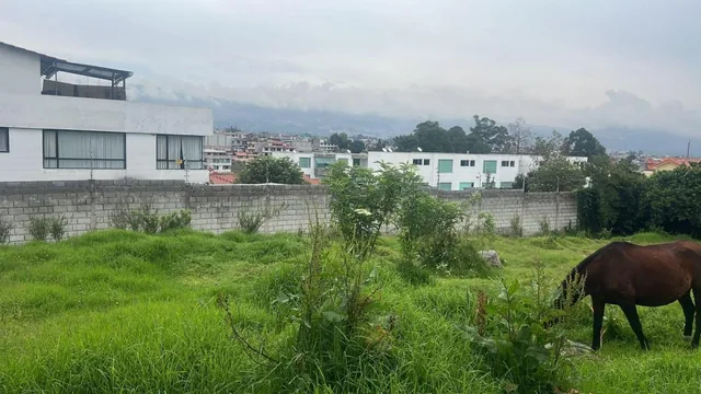 Terreno en Venta, Sangolquí — imagen 4