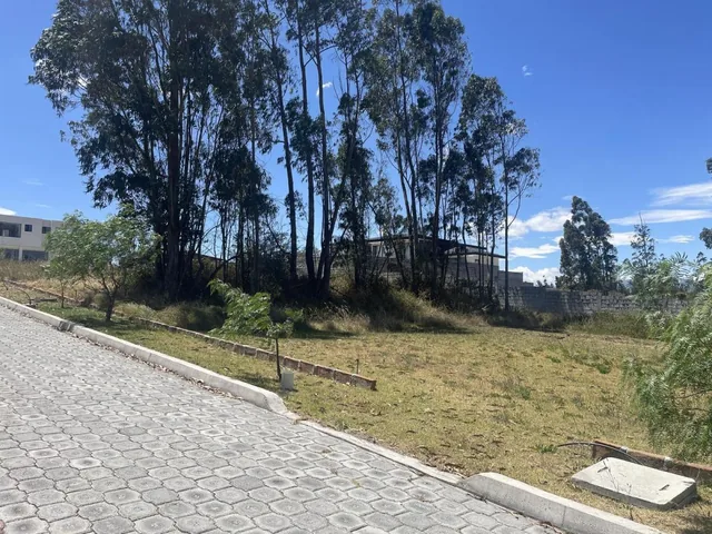 Terreno Independiente en Venta Llano Chico, Av Simon Bolivar — imagen 4