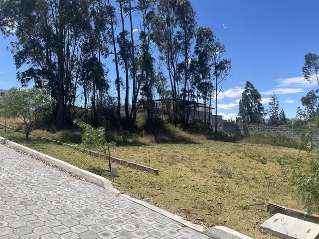 Terreno Independiente en Venta Llano Chico, Av Simon Bolivar — imagen 3