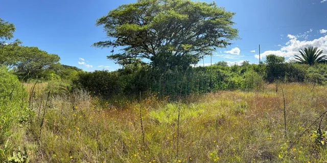 Terreno en Venta - Puembo, Sector Arrayanes — imagen 4