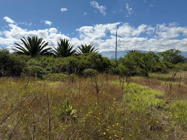 Terreno en Venta - Puembo, Sector Arrayanes — imagen 3