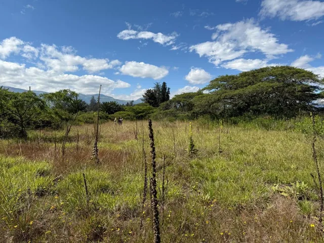 Terreno en Venta - Puembo, Sector Arrayanes — imagen 2