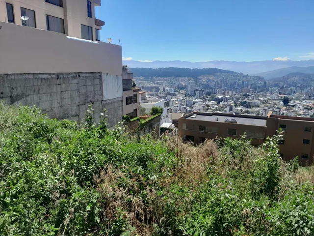 Terreno en Venta en Colinas de Pichichas 1647 m. Provincia de Pichincha — imagen 4