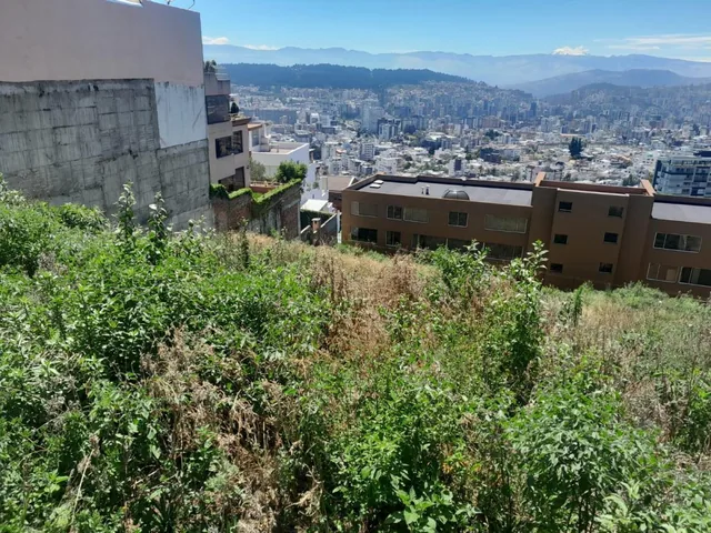 Terreno en Venta en Colinas de Pichichas 1647 m. Provincia de Pichincha — imagen 2