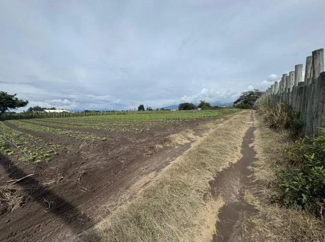 Terreno Plano en Tababela, Sector El Guambi — imagen 5