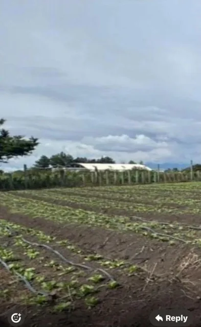 Terreno Plano en Tababela, Sector El Guambi — imagen 2