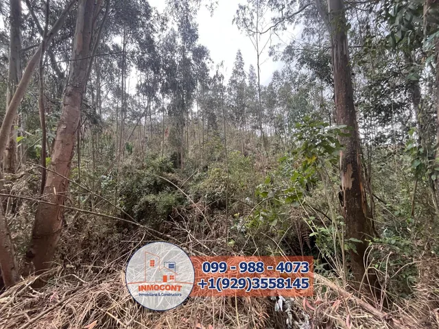 Terreno Plano de Venta en Zona Vacacional Para Proyecto Turístico, Inmobiliario o Inversión, Azuay — imagen 5
