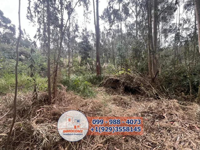 Terreno Plano de Venta en Zona Vacacional Para Proyecto Turístico, Inmobiliario o Inversión, Azuay — imagen 3