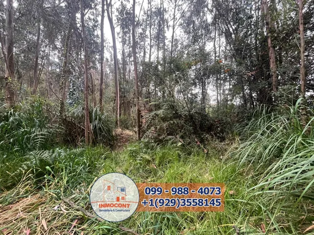 Terreno Plano de Venta en Zona Vacacional Para Proyecto Turístico, Inmobiliario o Inversión, Azuay — imagen 2