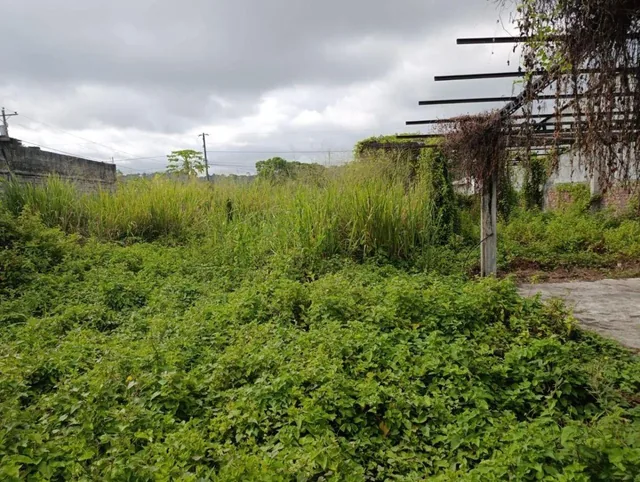 Terreno de Venta en Tonsupa, Atacames — imagen 3
