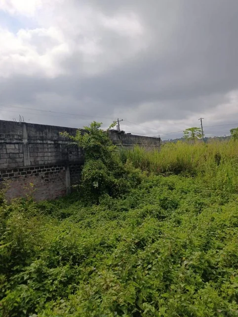 Terreno de Venta en Tonsupa, Atacames — imagen 2
