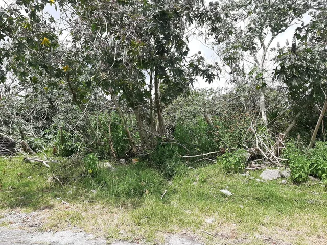 Quinche Terreno Plano 40.000 m² con Abundante Agua Vendo — imagen 5