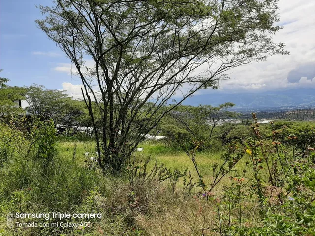 Quinche Terreno Plano 40.000 m² con Abundante Agua Vendo — imagen 4