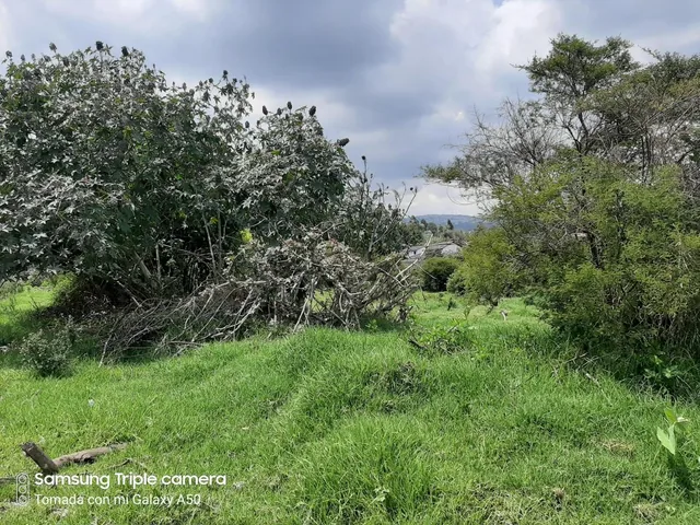 Quinche Terreno Plano 40.000 m² con Abundante Agua Vendo — imagen 2