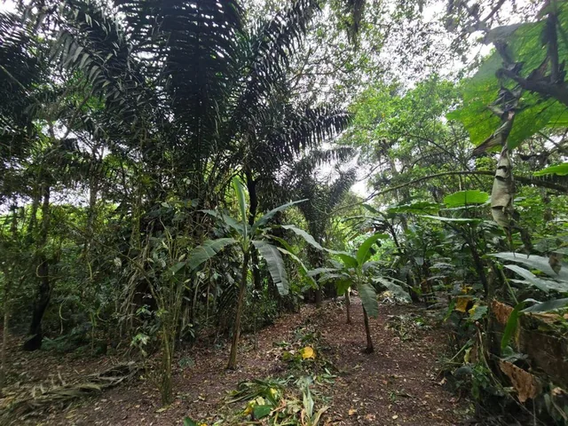 Terreno de Venta en Manta Zona Sur Pacoche, Manabí — imagen 3