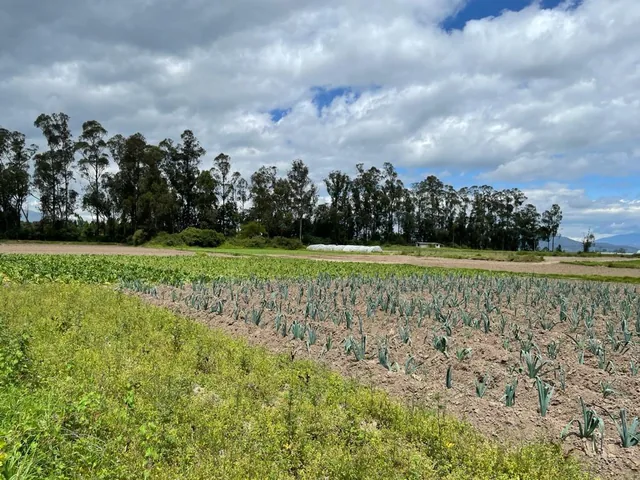 Venta Lotes de Terreno de 7.723 m² Al Filo de Carretera, Via Al Aeropuerto Sector Tababela — imagen 5