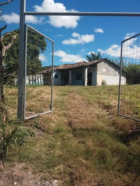 Venta. Terreno de 3,7 Hectáreas Ubicado en La Granja, Malacatos, Loja — imagen 4