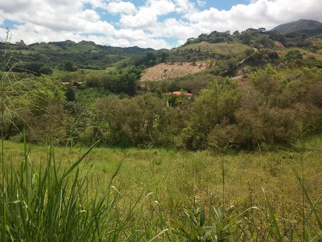 Venta. Terreno de 3,7 Hectáreas Ubicado en La Granja, Malacatos, Loja — imagen 3