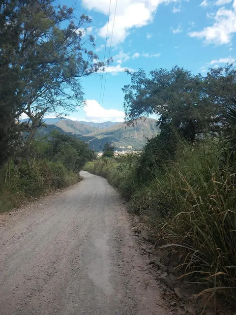Venta. Terreno de 3,7 Hectáreas Ubicado en La Granja, Malacatos, Loja — imagen 2
