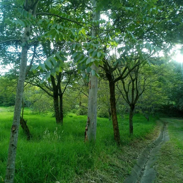 Los Chillos Terreno de Venta en Conjunto Privado — imagen 5