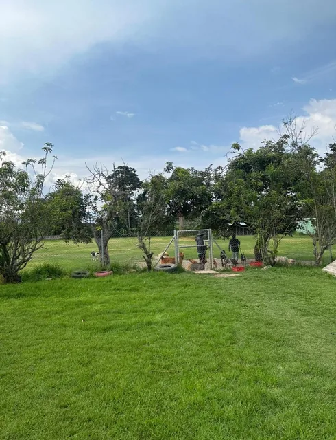 Se Vende Terreno Ideal Para Proyecto Inmobiliario – Tumbaco, La Morita — imagen 5