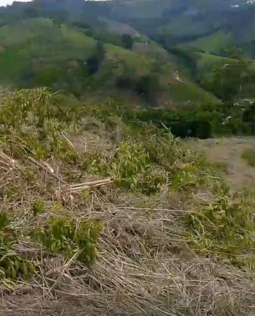 Terreno de Venta en Same — imagen 5