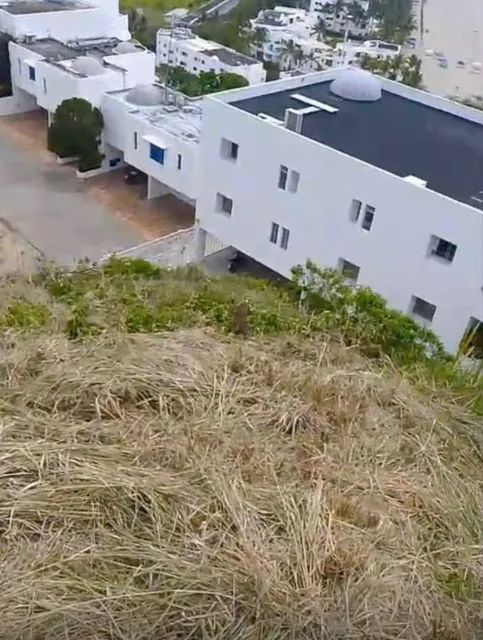 Terreno de Venta en Same — imagen 2