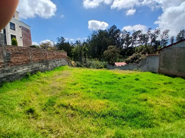 Vendo Terreno en Cotacachi, Calle 10 de Agosto. Imbabura — imagen 2