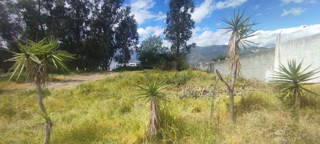 Terreno Plano de 1.055 m² Se Vende Yanazarapata San Juan de Cumbayá. Ideal Proyecto de Vivienda. Provincia de Pichincha — imagen 5