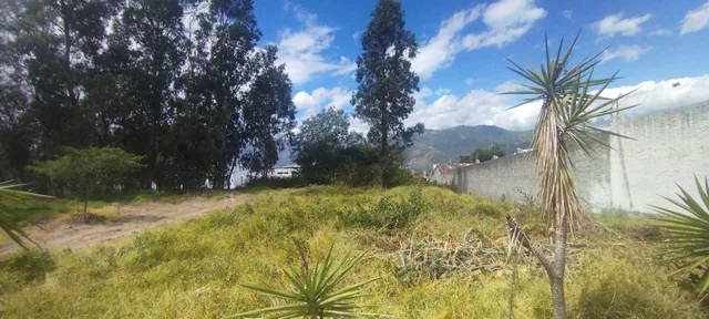 Terreno Plano de 1.055 m² Se Vende Yanazarapata San Juan de Cumbayá. Ideal Proyecto de Vivienda. Provincia de Pichincha — imagen 3